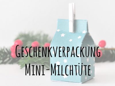 {Gastbeitrag} DIY Geschenkverpackung in der Mini-Milchtüte